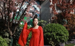 樱桃网站入口在线观看视频